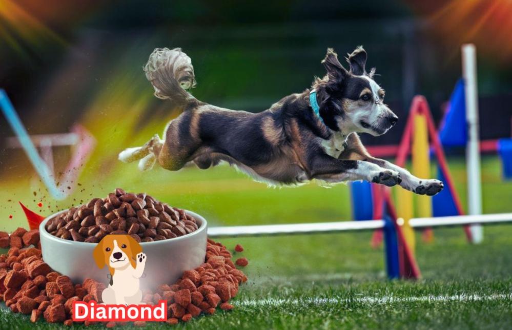 Diamond Naturals Dog Food