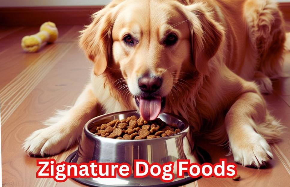 Zignature Dog Foods