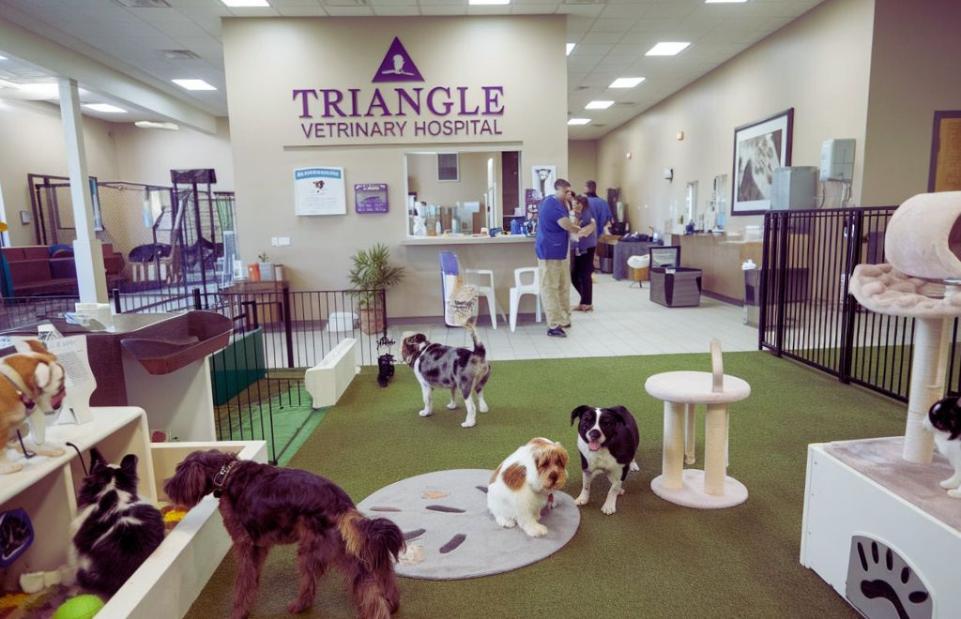 triangle vetrinary hospital pet boarding