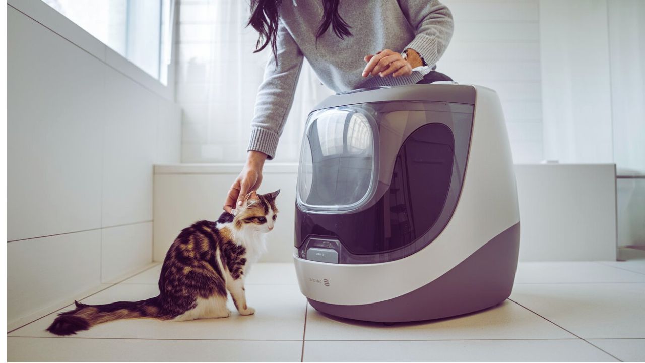 Best Self-Cleaning Litter Box